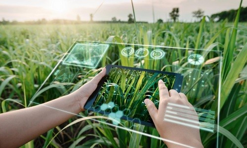 Karnataka Plans AI-Based Advisory Platform to Support Over One Crore Farmers