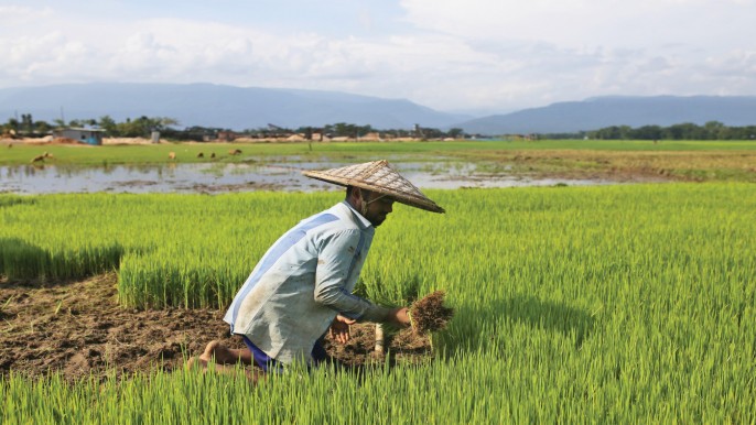 Govt, FAO join hands to strengthen evidence-based agricultural investment planning
