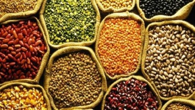 Draft Seeds Bill 2025 marks long-awaited modernisation, industry says