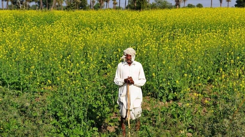 Haryana clears ₹1,122 crore agriculture action plan under PM-RKVY
