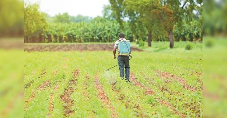 3.1% of tested fruit and vegetable samples exceed pesticide limits
