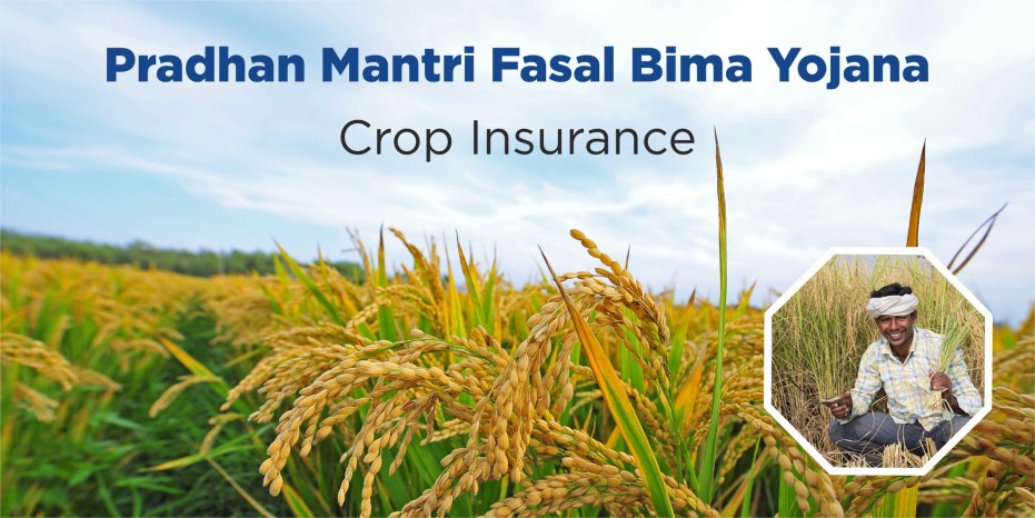 Pradhan Mantri Fasal Bima Yojana: A Promise of Prosperity for Farmers and Agriculture