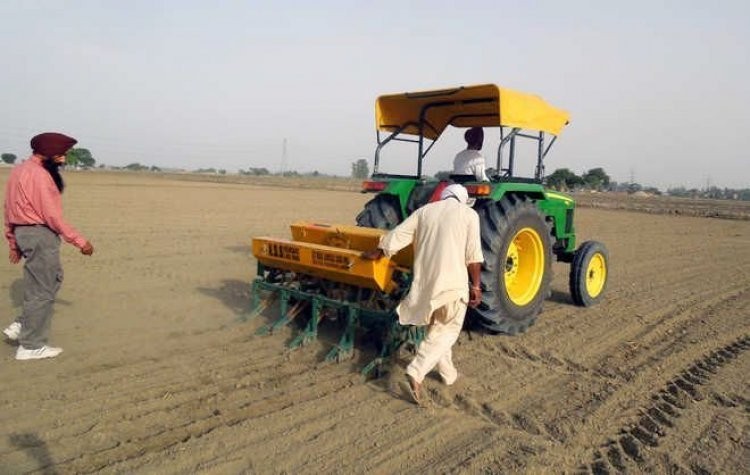 Punjab targets 5 lakh hectares under direct sowing of rice to curb water stress
