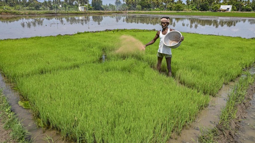 India seeks 1.7 million tonnes urea imports as West Asia conflict disrupts global supply