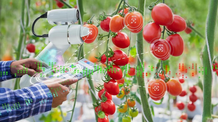 AI in agriculture needs strong policy backing to deliver at scale: Primus partners