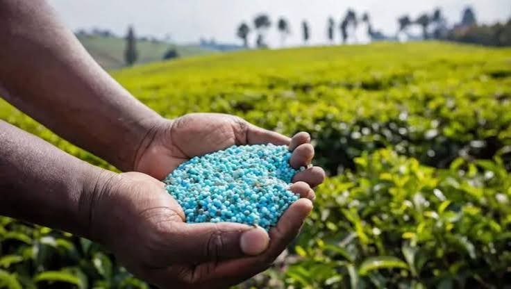 India maintained fertiliser supplies despite West Asia tensions, Govt tells Parliament