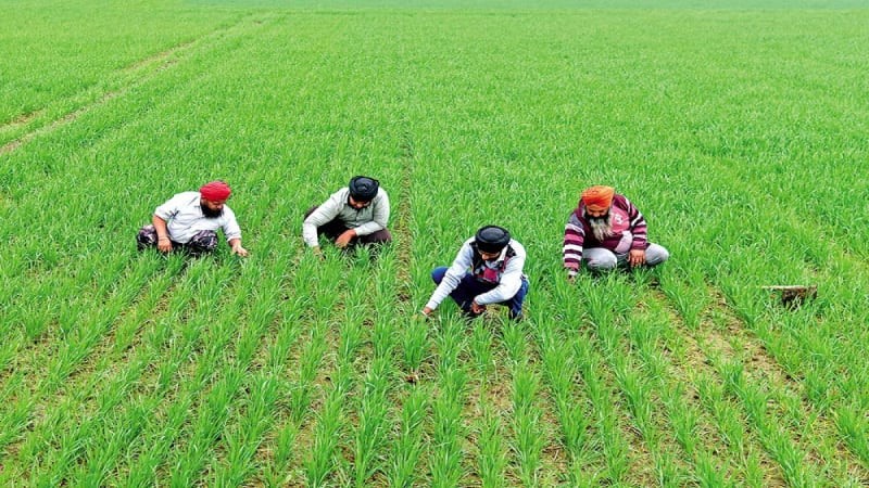 UP’s New Strategy to Boost Rural Incomes via Cow Dung Economy